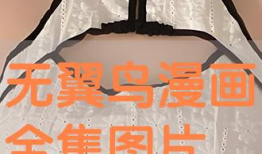 漫画无翼鸟全集,青春校园的激情与成长