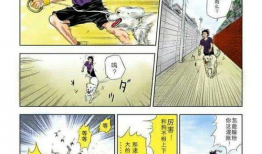 全国大赛漫画,漫画中的青春热血与梦想征程